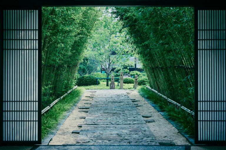 Porte japonaise ouvrant sur une allée de bambous